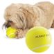 Planet Dog TENNIS Ball - Тенісний М'яч - іграшка для собак
