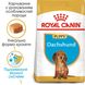 Royal Canin DACHSHUND Puppy - корм для щенков таксы - 1,5 кг %