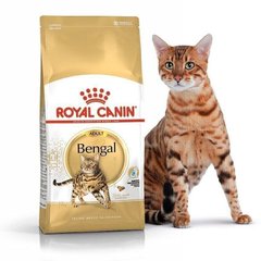 Royal Canin BENGAL Adult - корм для бенгальских кошек - 10 кг % Petmarket