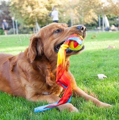 Outward Hound Comet Fetch Ball - Мяч-Комета игрушка для собак Petmarket