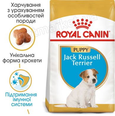 Royal Canin JACK RUSSELL Puppy - корм для щенков породы Джек-Рассел терьер - 3 кг Petmarket
