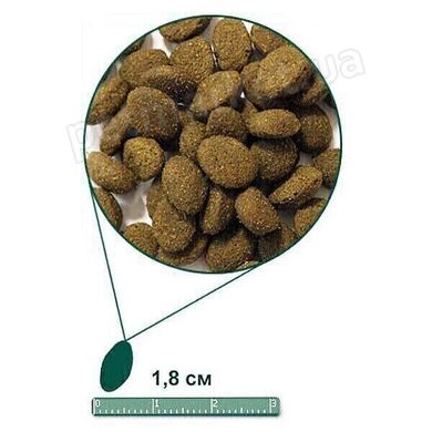 Arden Grange ADULT DOG Salmon & Rice - гипоаллергенный корм для собак (лосось/рис) - 12 кг % Petmarket