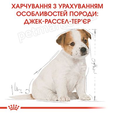 Royal Canin JACK RUSSELL Puppy - корм для щенков породы Джек-Рассел терьер - 3 кг Petmarket