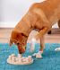 Nina Ottosson Dog Smart - интерактивная игрушка для собак