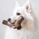 Benebone Bacon Stick - прочная жевательная игрушка со вкусом бекона для собак - M