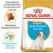 Royal Canin JACK RUSSELL Puppy - корм для щенков породы Джек-Рассел терьер - 1,5 кг %