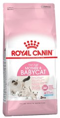 Royal Canin MOTHER & BABYCAT - корм для котят и беременных/кормящих кошек - 10 кг % Petmarket