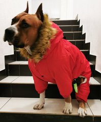 Dobaz RUIS PET Alaska - теплый комбинезон для крупных собак - красный, 4XL Petmarket