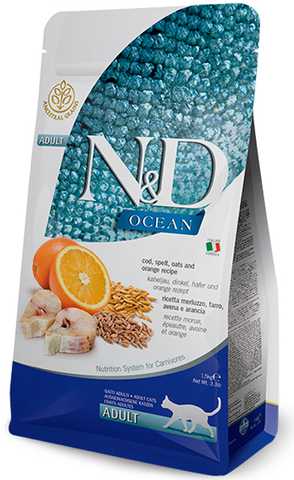 N D Ocean Cat Cod Orange