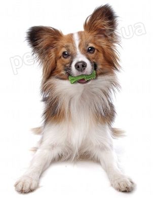 Nylabone Natural NUTRI DENT Fresh Medium - Нутрі Дент Приємна Свіжість - жувальні ласощі для чищення зубів у собак середніх порід Petmarket