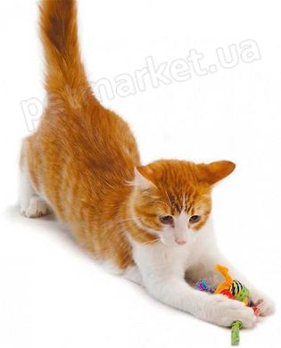 Petstages CATNIP TONS OF TAILS - Толстые хвостики - игрушка для кошек Petmarket