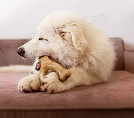 Benebone Puppy Wishbone Bacon - міцна жувальна іграшка зі смаком бекону для цуценят Petmarket