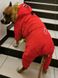 Dobaz RUIS PET Alaska - теплый комбинезон для крупных собак - красный, 3XL %