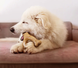 Benebone Puppy Wishbone Bacon - міцна жувальна іграшка зі смаком бекону для цуценят - М