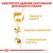 Royal Canin CHIHUAHUA Adult - вологий корм для собак породи чихуахуа (паштет) - 85 г %