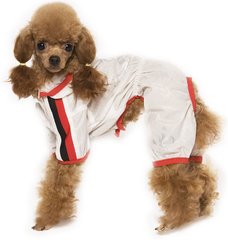 IsPet I AM SPECIAL PET комбинезон-дождевик - одежда для собак - S Petmarket