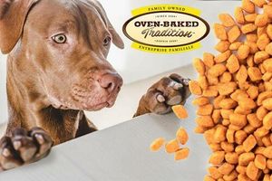 Новинка! Oven-Baked Tradition - особенный корм для собак и котов