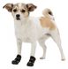 Trixie Walker Active - ботинки для собак - M-L % РАСПРОДАЖА