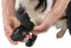 Trixie Walker Active - взуття для собак - L-XL % РОЗПРОДАЖ