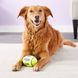 Kong Air Dog American Football – Мяч регби - игрушка для собак - 16 см %