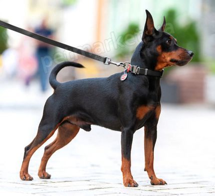 Collar WAUDOG Waterproof - водонепроницаемый ошейник для собак фастекс металл, 43-70 см, рожевий Petmarket