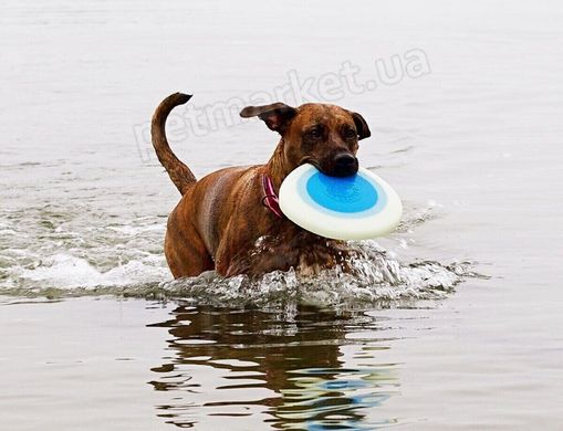 Planet Dog ZOOM FLYER - Зум Флаєр - літаюча тарілка фрісбі для собак Petmarket
