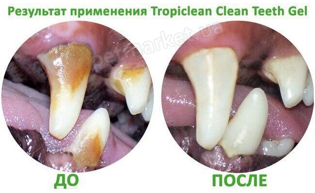 TropiClean Clean Teeth Gel No Brushing- гель для чистки зубов у собак - 118 мл Petmarket