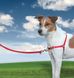 Premier EASY WALK - шлея-антирывок для собак - Small, Красный