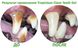 TropiClean Clean Teeth Gel No Brushing - гель для чищення зубів у собак - 59 мл