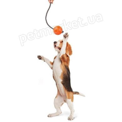 Collar LIKER Cord - Лайкер Корд - м'ячик-іграшка для собак - 9 см Petmarket