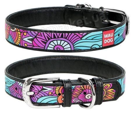 Collar WAUDOG Літо - шкіряний нашийник для собак - 46-60 см, Чорний Petmarket