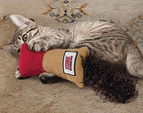 Kong Kickeroo Cuddler - игрушка для кошек Petmarket