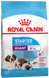 Royal Canin GIANT STARTER - корм для щенков, беременных и кормящих собак гигантских пород - 4 кг %