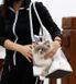 Do Do Pet BRIGHT - сумка-переноска для собак и кошек