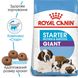 Royal Canin GIANT STARTER - корм для щенков, беременных и кормящих собак гигантских пород - 1 кг %