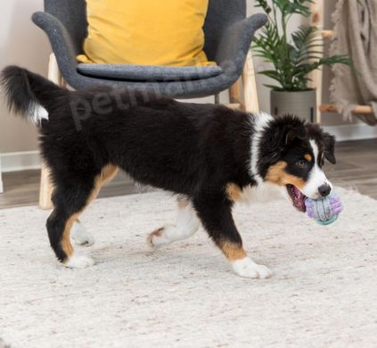 Trixie Junior Мяч-канат игрушка для щенков, 9 см Petmarket