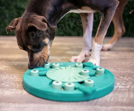 Nina Ottosson Dog Worker - интерактивная игрушка для собак - Зеленый Petmarket