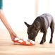 Nina Ottosson DOG SMART - ДОГ СМАРТ - развивающая игрушка для собак