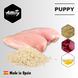 Amity PUPPY - корм для цуценят всіх порід - 15 кг
