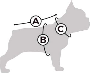 как выбрать одежду для собаки как измерить собаку